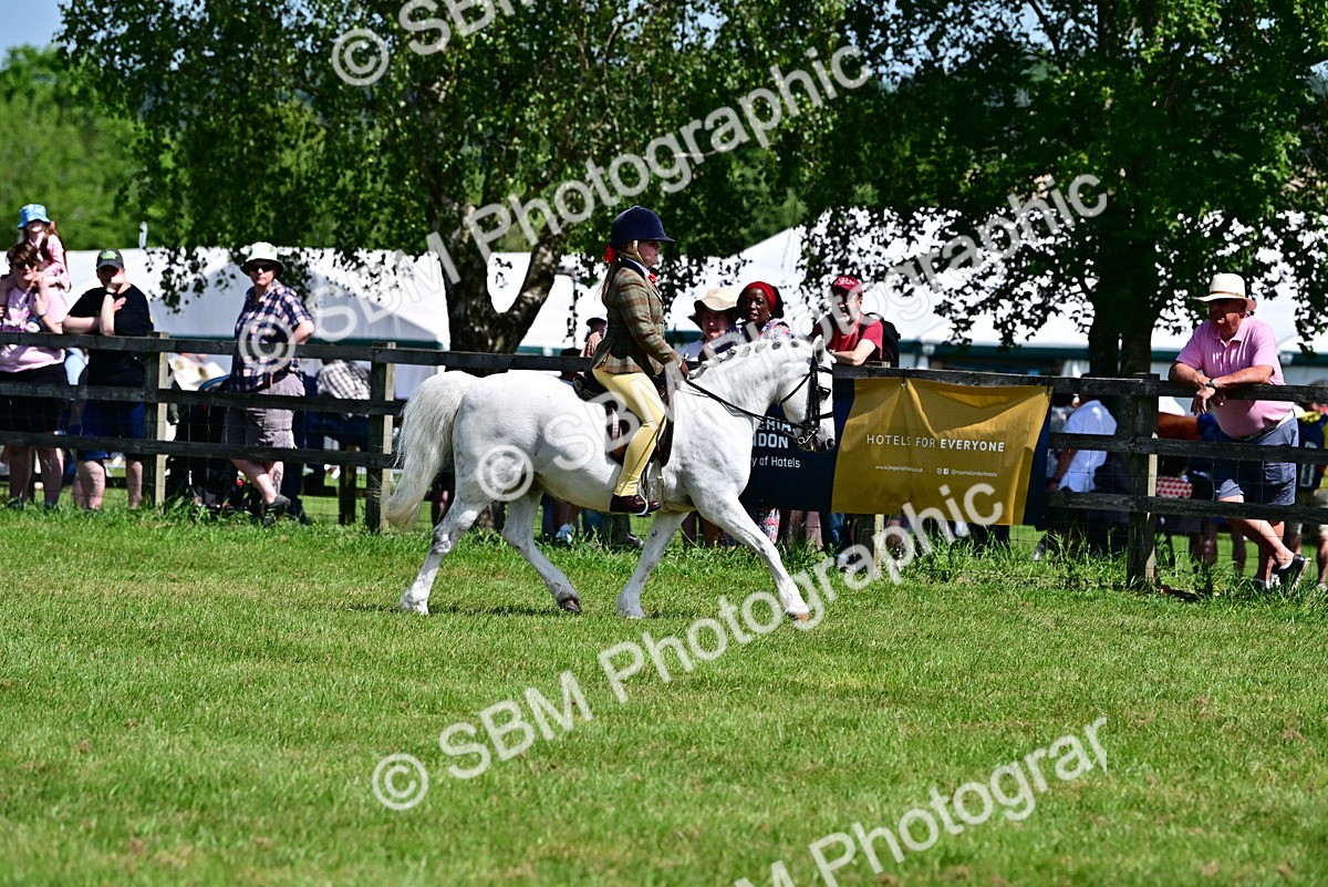SBM_13952 - Class 95-97 - BSPS LHS Performance Ponies