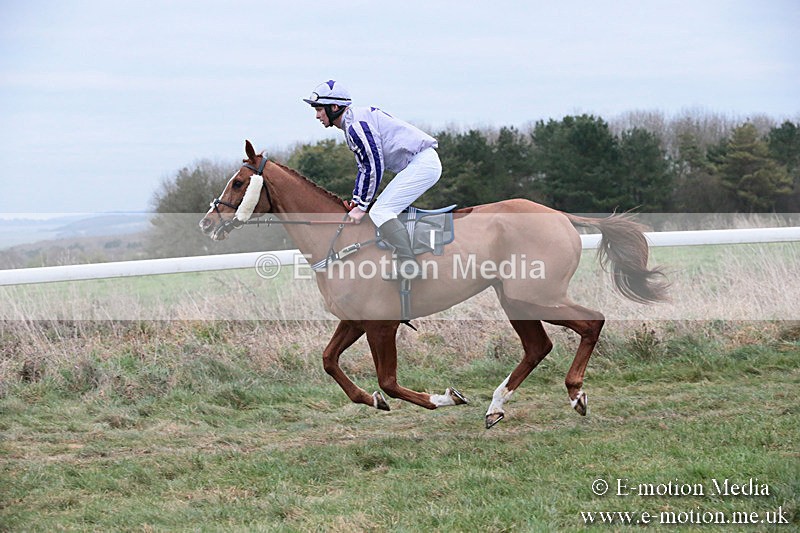 PtP 060119 509 - Larkhill Racing Club - Point-to-Point- 06/01/2019