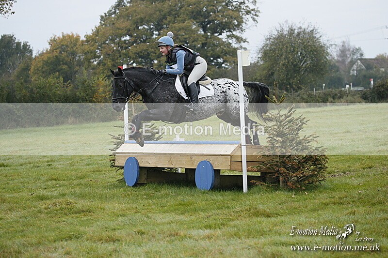 WWHT 181020 WWHT 181020 196 - WWEC Novice Restricted (0.80m) 18/10/20