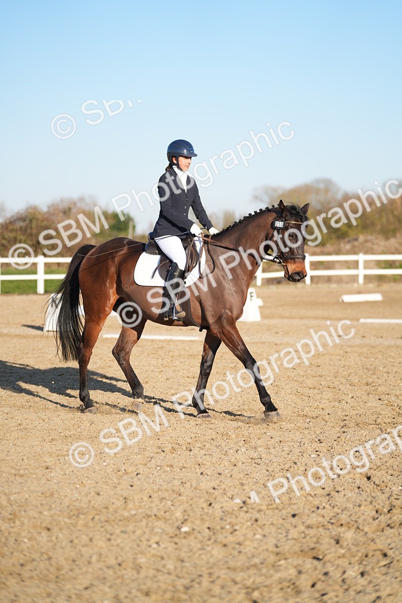 SBM_005739 - Class 6 - E1-80cm