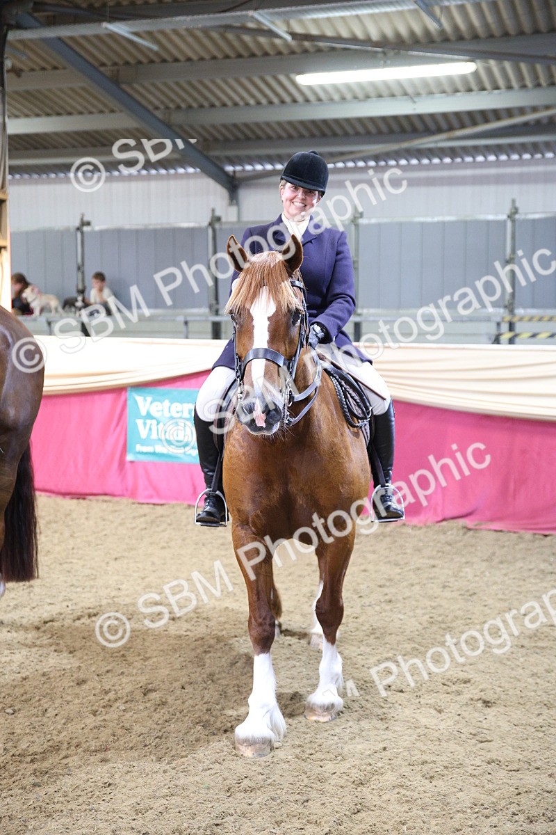 SBM_24799 - Class 906 - Supreme Final - Ridden Pre Vet