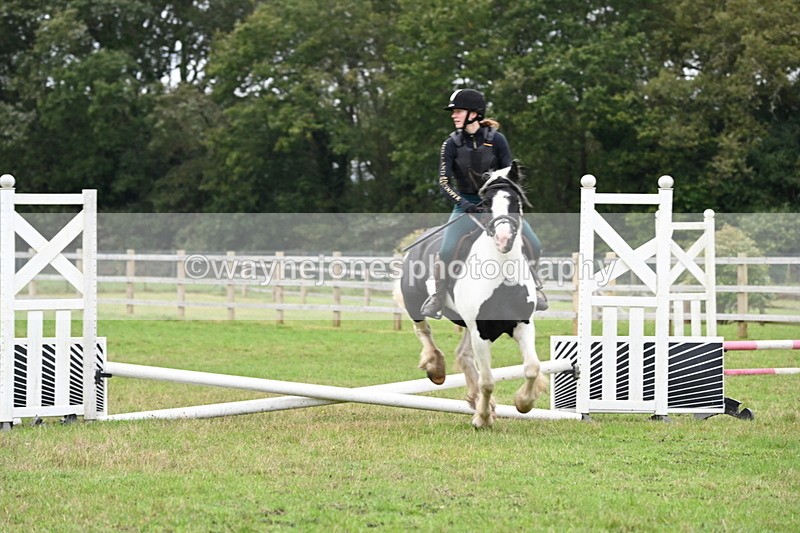 WJ6_0439 - 40cm Time 10:29 to 10:52