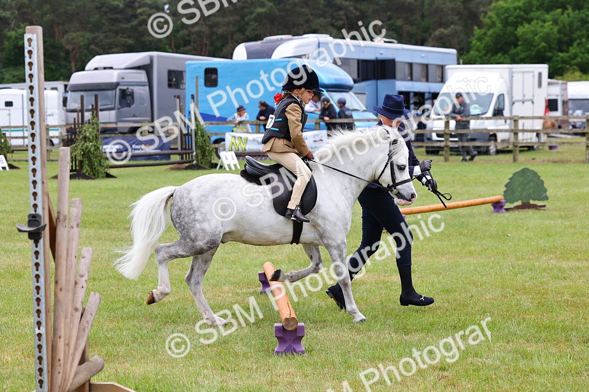 SBM_08137 - Class 42-43 - LIHS BSPS Heritage Working Sports Pony