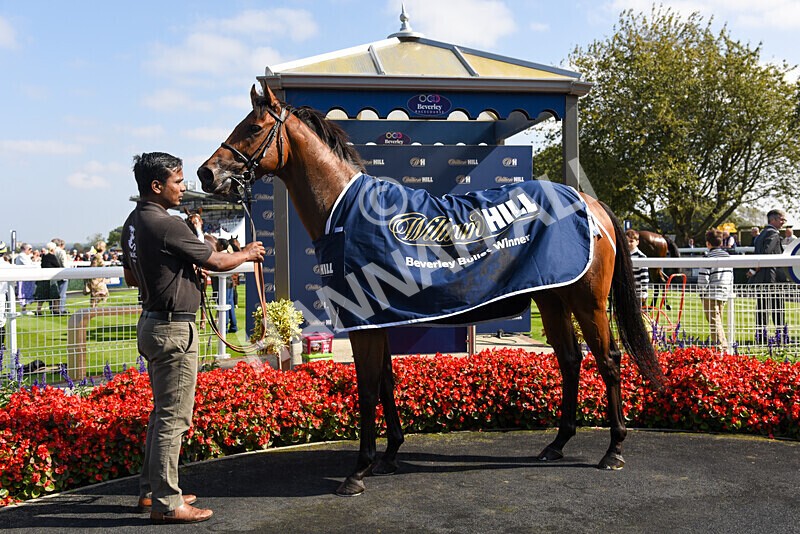 310824-Race 2-Democracy Dilemma-2689 - Race 2