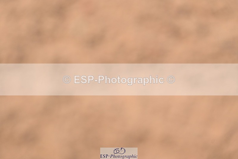 260426-121140-18917 - Cls 32, 1 Star 6 Year Old Final