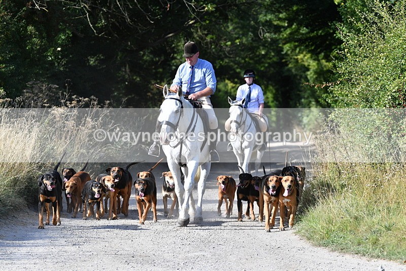 WJ5_4788 - Walk out with the hounds