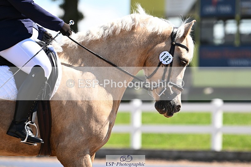 240621A-103331-01826 - Cls 2 BD Prelim 19