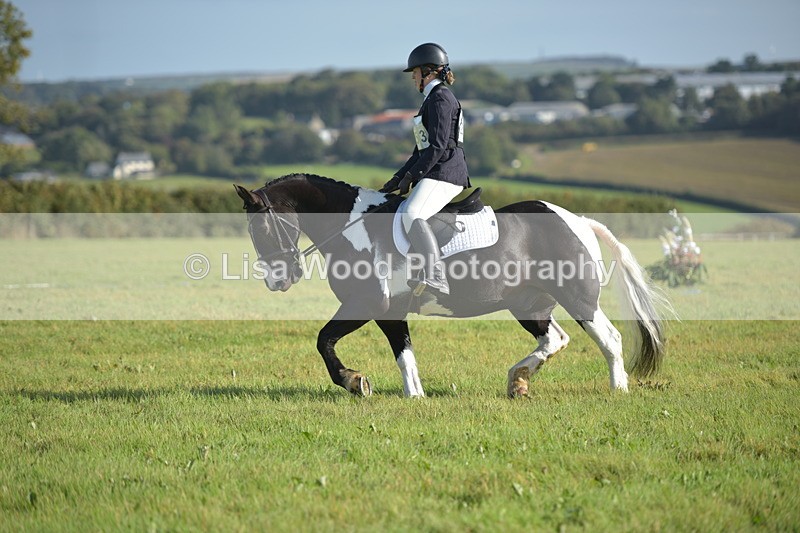 RAY_7311 - Class 2B: Trekenning Open: Dressage