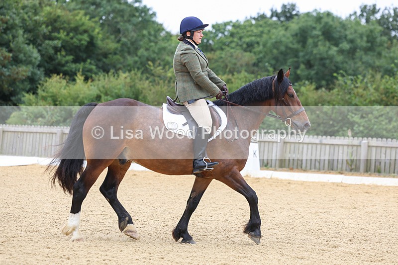 3E7A4593 - Class 1: Intro 4 2024 section A