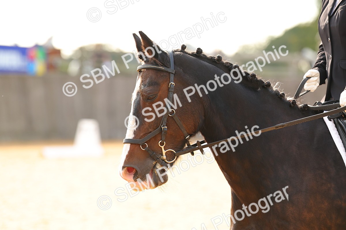 SBM_51174 - D12 - Small Tour Championship - Prelim 18