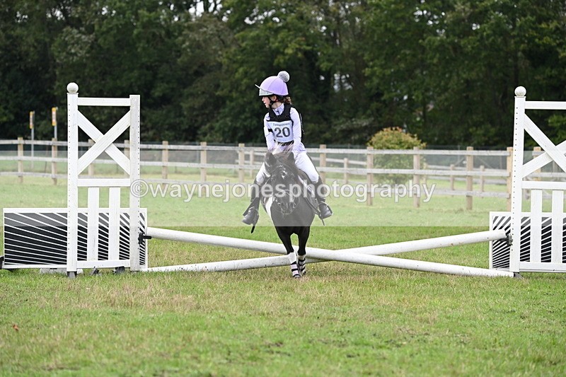 WJ6_0339 - 40cm Time 10:00 to 10:28