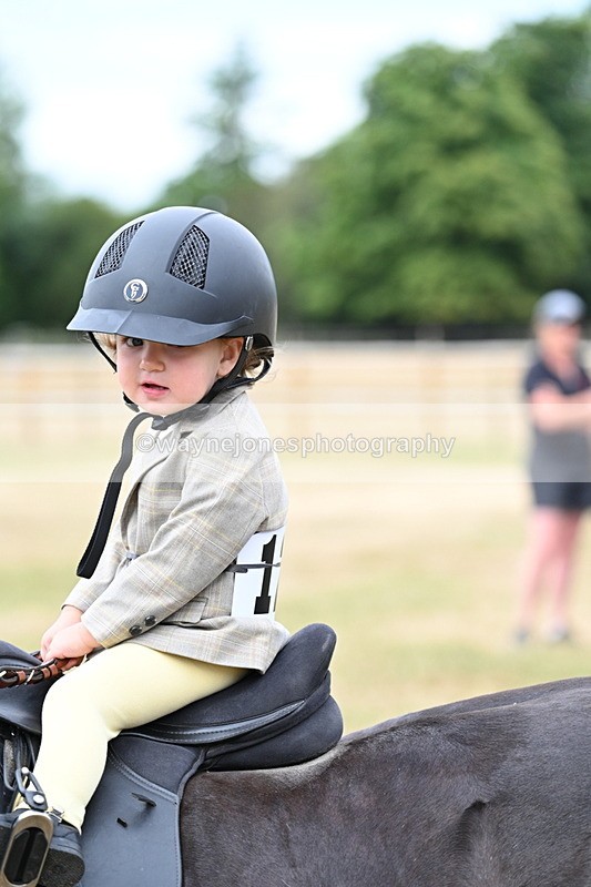 WJ7_9854 - Class 1 Lead Rein Pony