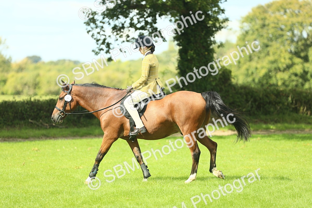 SBM_42122 - S29 - Novice & Newcomers Working Hunter Pony