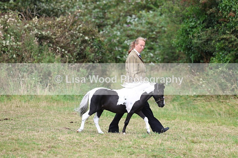 3E7A5341 - Class 19: Best Coloured in Hand