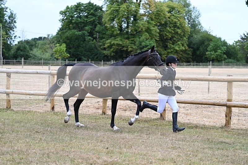 WJ7_8993 - Class 4a Prettiest Mare 14.2hh and over