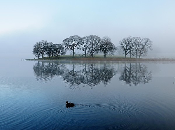 lll0117 - South Lakes