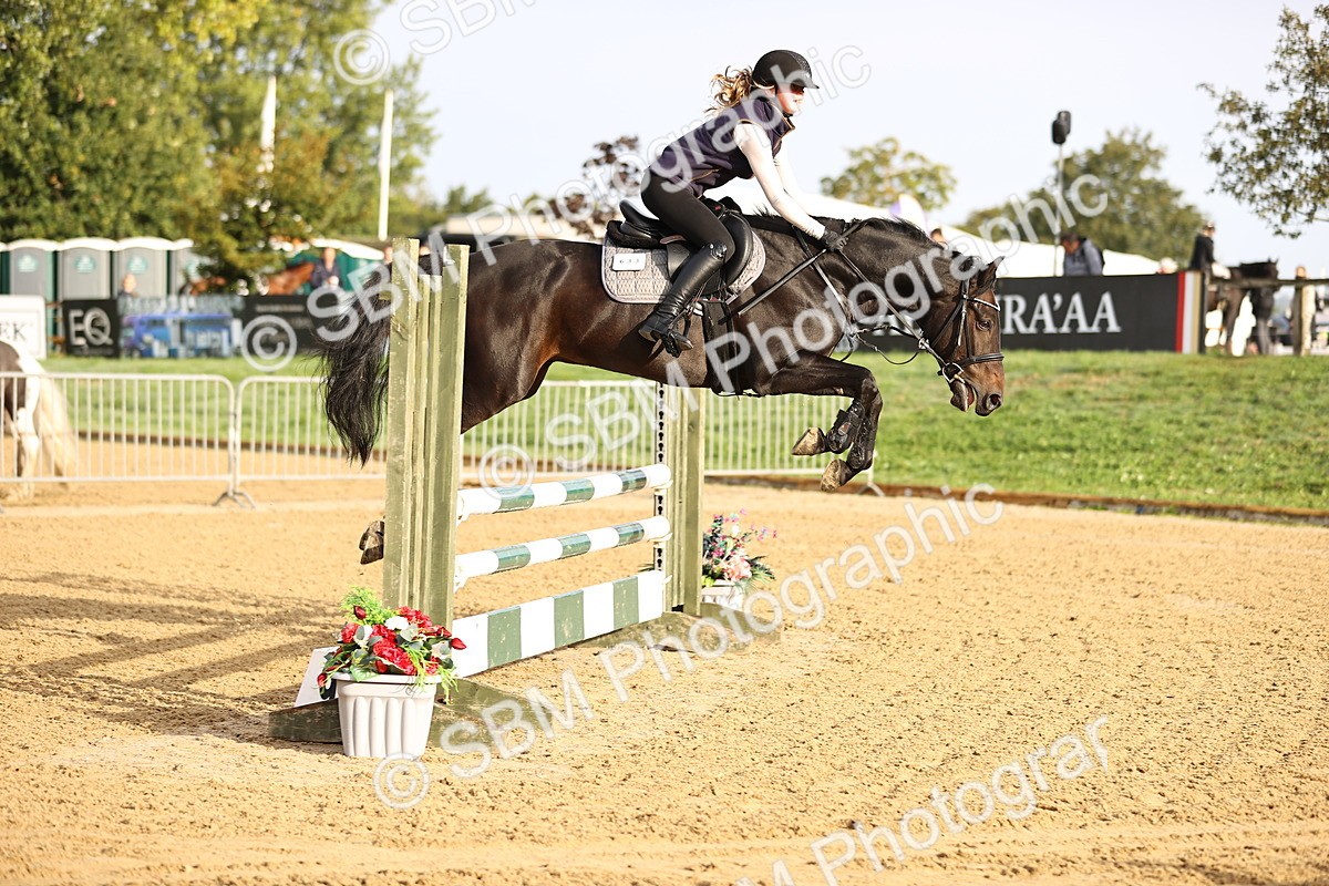 SBM_55206 - J62 - Clear Round 90cm