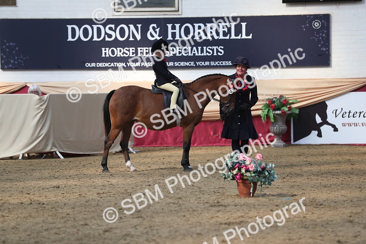 SBM_08368 - Class 11R Regional Ridden Veteran