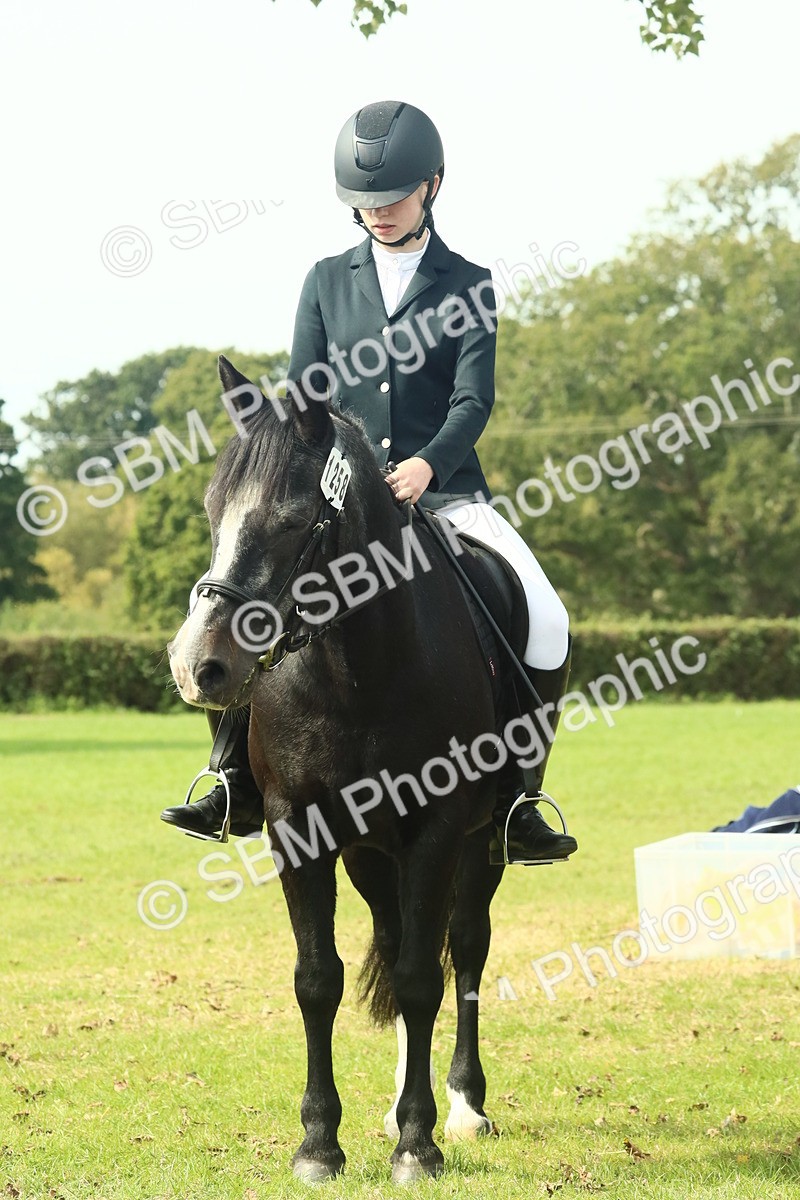 SBM_66775 - S34 - Rehabilitated Rescue Horse & Pony In Hand & Ridden
