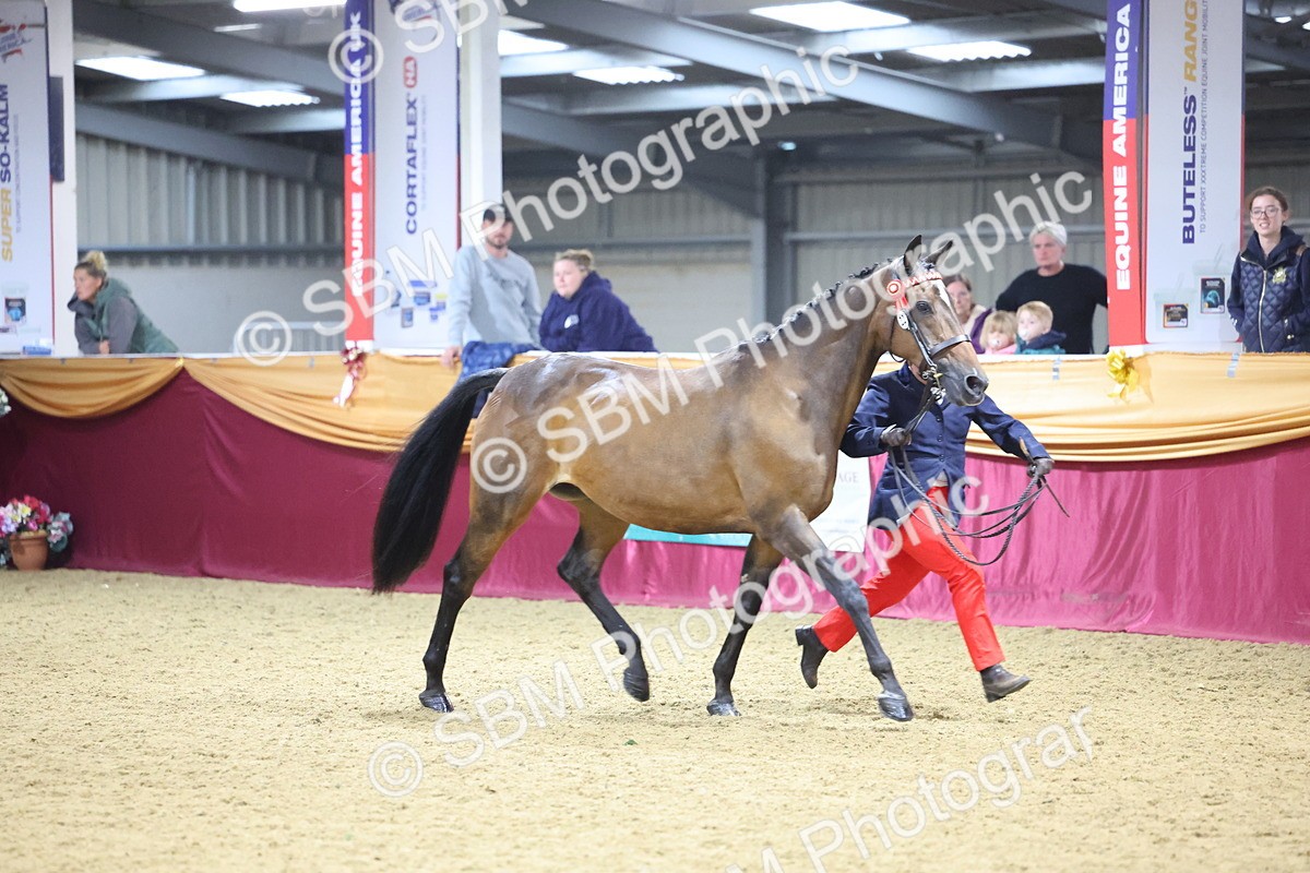 SBM_18929 - Class F Grass Roots Champ