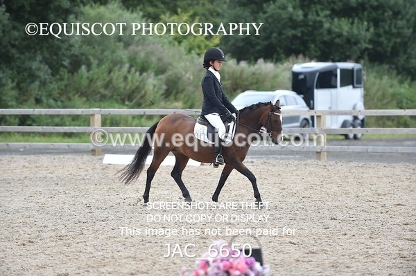 JAC_6650 - NOVICE 2