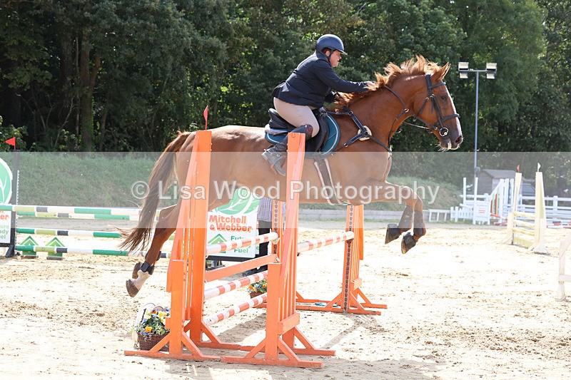 3E7A3544 - Class 4: Senior British Novice/90cm open