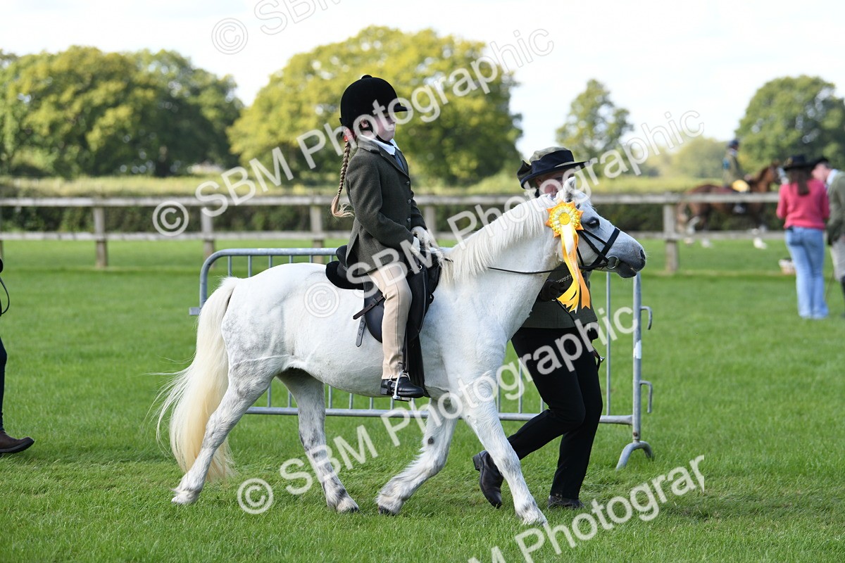 SBM_39720 - S18 - Novice & Newcomers Lead Rein Pony