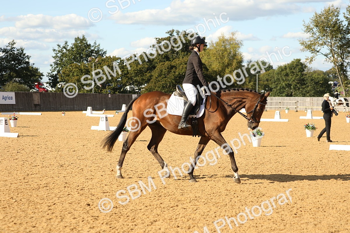 SBM_26778 - D17 - Grand Tour Championship - Novice 27
