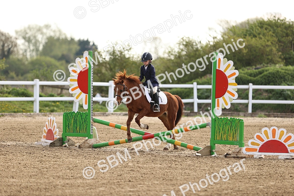 SBM_003065 - Class 1 - 40cm