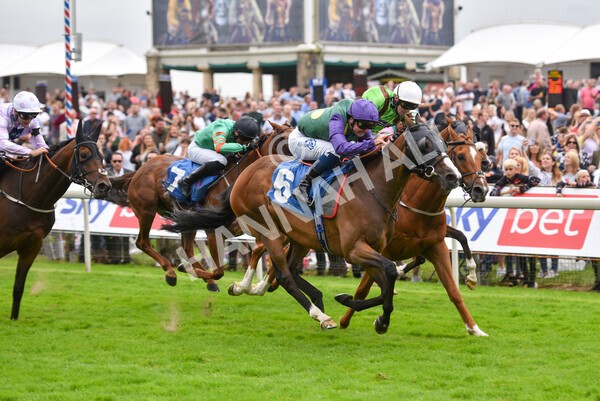 yr24072021r5-60 - Race 5 4.25pm Sky Bet Best Odds Guaranteed Stakes