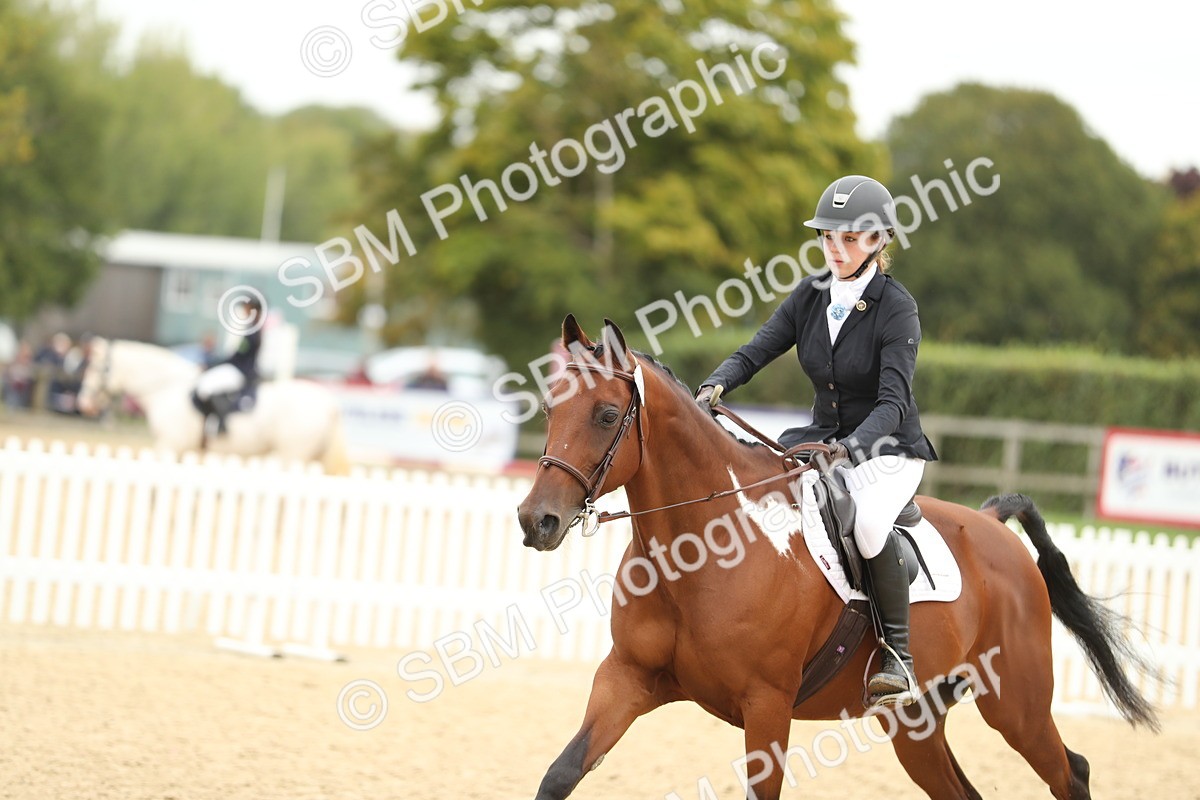SBM_63102 - Supreme championship 75cm 80cm