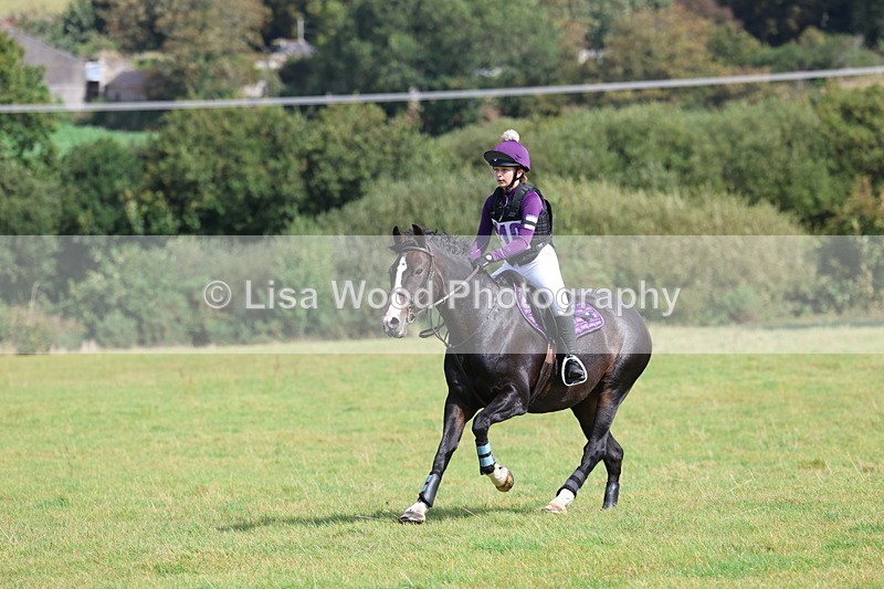 3E7A6552 - Class 1: Trebudannon Open: Pheasant Feeder