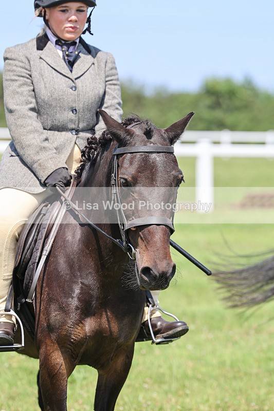 IMG_2548 - Class 38: Veteran Ridden