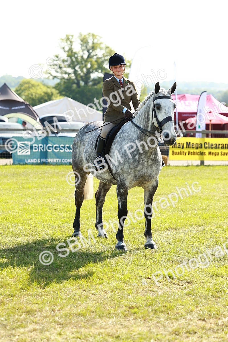 SBM_11834 - Class 66-69 - RIHS Ridden Hunters Inc Small Hunter