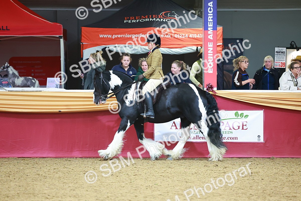 SBM_06285 - Class 12R - Ridden Pre-Vet