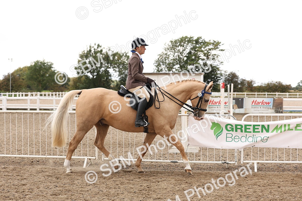 SBM_04183 - Class 54 - Riding Club Horse/Pony