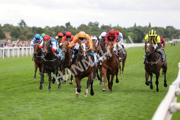 yr17082022r7-22 - Race 7 5.20pm Sky Bet Nursery Handicap