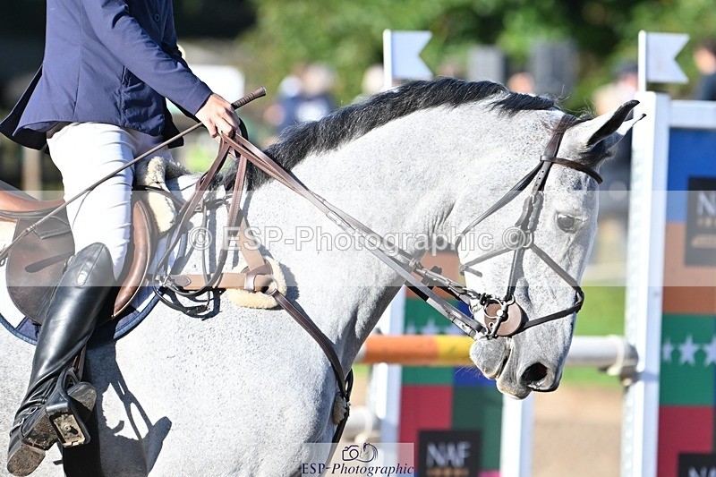 231022-095844-23160 - 248-KINGS.LANE-Liberty.Smith-SJ