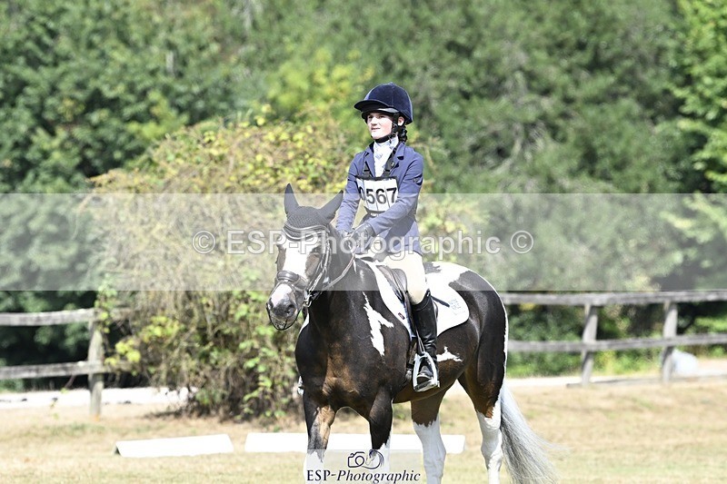 250822A-122306-22740 - DR 11.00 to 12.00