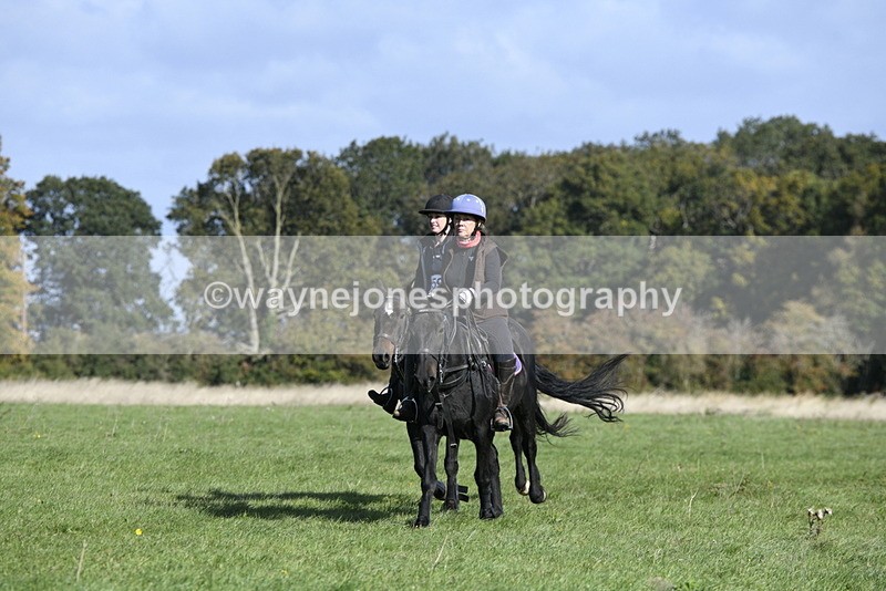 _DSC5308 - Time 10:49 to 11:23