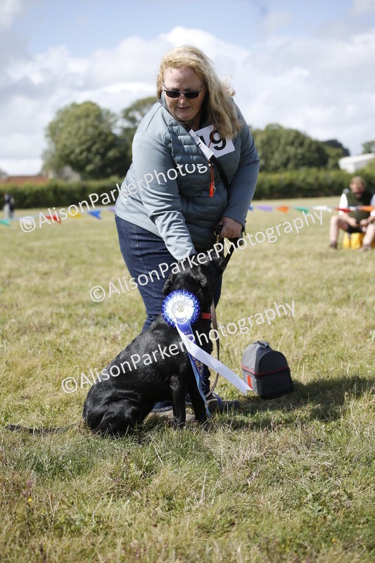 20250831-3721 - Dog Show