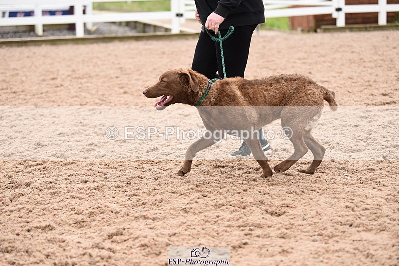 240518A-112206-00763 - Cls 1 Cutest Puppy