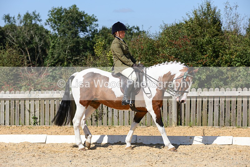 1X9A8108 - Class 12: Coloured Ridden