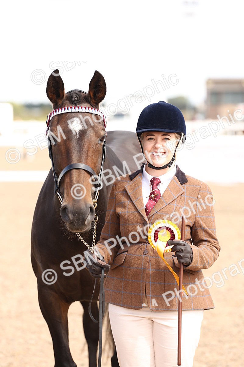 SBM_14731 - Class 208 - IH Veteran Horse