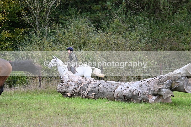 WJ7_3677 - Camera 1 Line 1