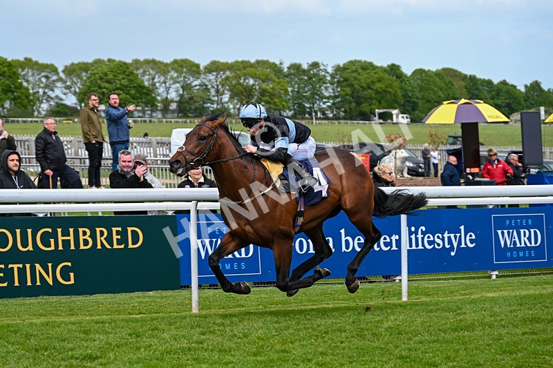 120526-Race 2-Ronson-7530 - Race 2 3.00pm Ire-Incentive, It Pays To Buy Irish