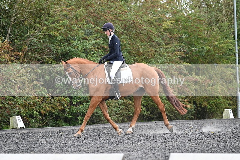 WJ7_6722 - Time 14:49 to 15:14