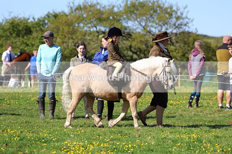 3E7A8907 - Class 2: Lead rein