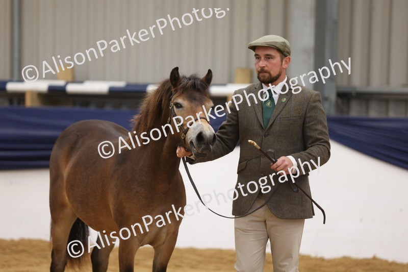 20260913-1281 - Class 113 - Yearling