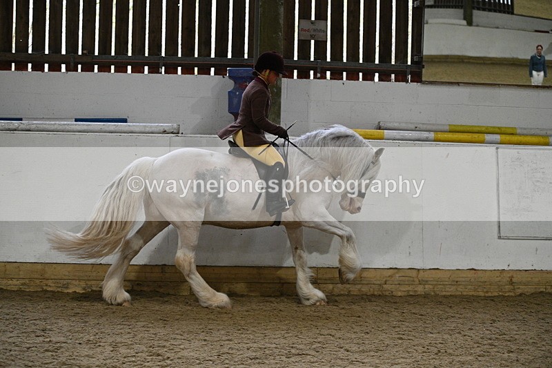 WJ7_3812 - Class 17 Ridden Cob